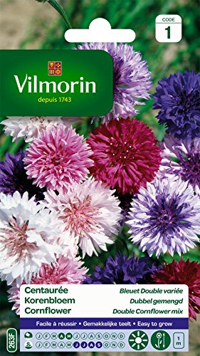 Vilmorin 5207441 Centaurée bleuet double variée Multicolore 9 x 2 x 16 cm