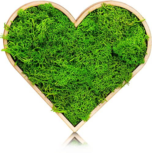 Moosly® Moosbild - Herz groß - mit Rahmen aus Holz, Moos Deko Zeichen Symbol Zahl Holzbuchstabe mit echtem Islandmoos Wandtattoo Wandsticker Wandbild selbstklebend Wohnzimmer (101 Herz groß)