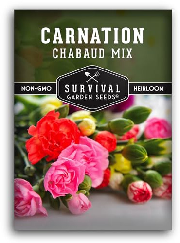 Survival Garden Seeds - Chabaud Mix Carnation Seed for Planting - 1 Packet with Instructions to Plant & Grow Colorful Dianthus Caryophyllus in Your Home Flower Garden - Non-GMO Heirloom
