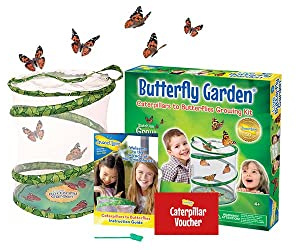 Insect Lore Butterfly Garden with Prepaid Caterpillar Voucher
