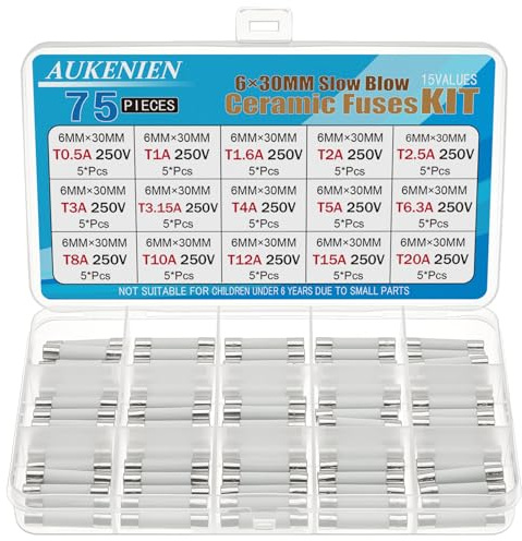 AUKENIEN 6X30MM Slow Blow Ceramic Fuses Kit 15 Values 0.5A 1A 1.6A 2A 2.5A 3A 3.15A 4A 5A 6.3A 8A 10A 12A 15A 20A 250V 6X30 MM 0.5 1 1.6 2 2.5 3 3.15 4 5 6.3 8 10 12 15 20 Amp 250 Volt Time Delay Fuse
