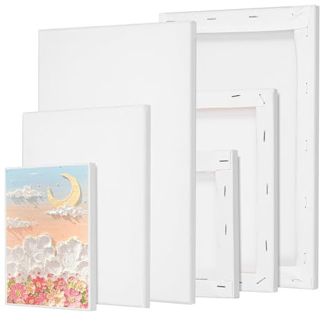 Hejo 6 Stück Leinwand zum Bemalen, Keilrahmen Malen Canvas Acryl, Leinwand Set 20x30,20x15,15x10 cm, Aquarell, Ölfarbe Multisizes für Künstler, Amateure, Anfänger und Kinder