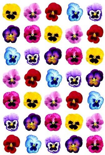 Pansies Flower Party Pack - Edible Cupcake Toppers - Wafer or Icing - Spring Pansy Birthday Party Themed Celebration Cake Decorations for Cupcakes, Cookies, Brownies, Muffins & More!
