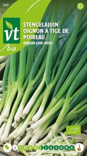 Cebolla Ishikura blanca larga Semillas ecológicas - Un fino tallo blanco en lugar de un bulbo