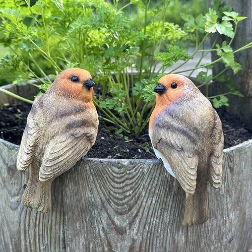 Animal Crackers SET of 2 Robin Plant Flower Pot Hangers novelty garden ornament decoration bird lover gift
