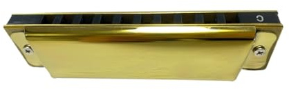 10-Loch-Mundharmonika Blues-Harfe Mundharmonika Musikinstrumente für Anfänger professionelle Spieler(Gold)