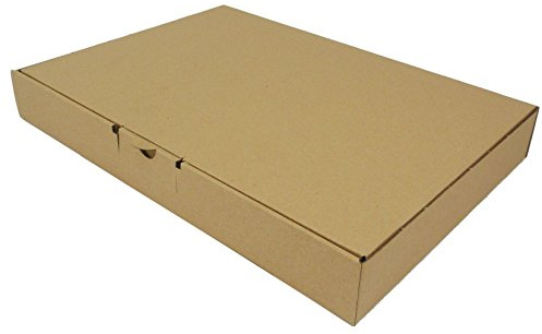 50 Stück Maxibrief Warensendung Karton Versandkartons Verpackung 350 x 250 x 50 B4