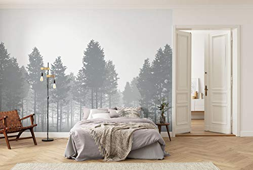 Komar X7-1021 Fotomural, Gris y Negro, Größe: 350 x 250 cm