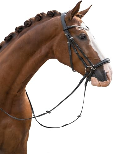 HKM Nicole Trense, Schwarz, Warmblut