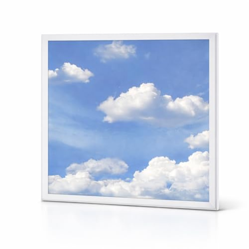 Brightex LED 600x600 Panel Light 48W 4320LM 6500K Cool White Ceiling Light Slim Square Edge Sky Panel for Offices, Shops, Hospitals & Commercial Lighting with Driver