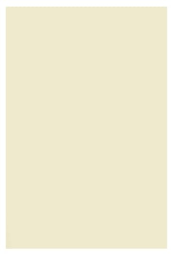 Netuno 100 x pysselkartong elfenben DIN A4 210 x 297 mm 250 g Arena Smooth Ivory Ecru skrivarpapper krämfärgat färglaserpapper ritpapper laserpapper broschyrpapper brevpapper kontorspapper