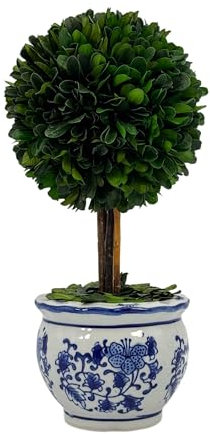 Galt International Natürlich konservierter Buchsbaum-Kugel-Formschnittbaum in rundem, handbemaltem blau-weißem Keramik-Topf, Übertopf – europäisches Rokoko, Heimdekoration, klassische Chinoiserie