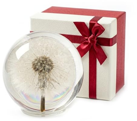 1st Heaven Dandelion Paperweight in Crystal – Real Preserved Dandelion, Symbol of Hope, Luck, or New Beginnings – Elegant Gift with Gift Box & Card (3.1 in)