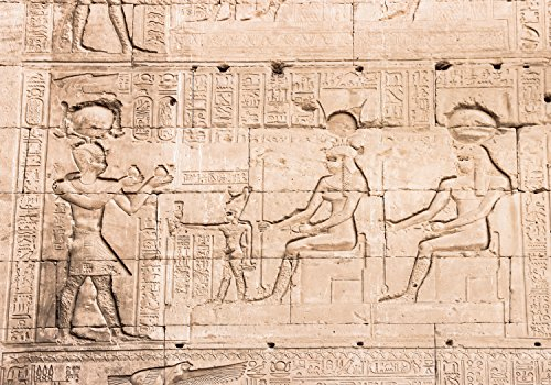 wandmotiv24 Fototapete Mauer des Tempels von Hathor bei Dendera, 200 x 140cm - selbstklebende Strukturtapete, Wanddeko, Wandbild, Wandtapete, Ägypten, Zeichnung M0826