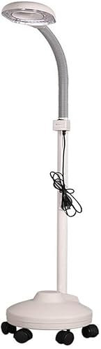 Lampe de sol LED grossissante, lumière du jour loupe lumineuse verre grossissant 3X, col de cygne réglable en hauteur flexible debout lumière froide pour l'éclairage de beauté de salon de lecture,