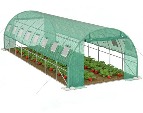 Suusolny Gewächshaus 300x800x200cm Foliengewächshaus Winterfest Folientunnel UV-Schutz Tomatenhaus Pflanztunnel für Frucht Gemüse Blumen Pflanzenzelt mit Fenster Treibhaus inkl. Erdanker & Seilen