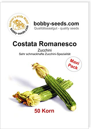 Costata Romanesco Zucchinisamen von Bobby-Seeds, 50 Korn