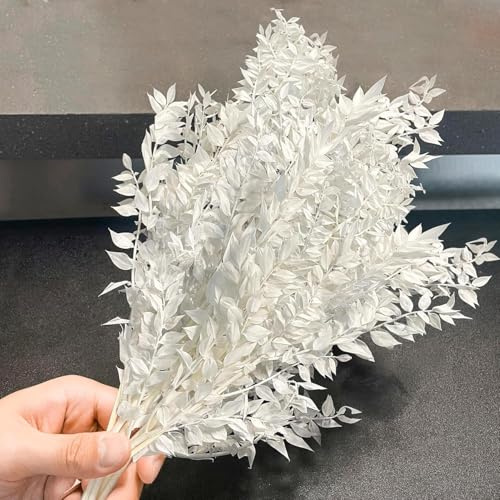 Trockenblumen,Getrockneter Eukalyptus 10 Stiele weißer Eukalyptuszweig - 35 cm Trockenblumen Deko, konservierte Blumen für Boho-Hochzeit & Heimdekoration