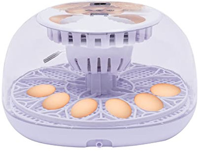 Brutmaschine Vollautomatisch, 12 Eier-Inkubator, mit Temperaturkontrolle(20-50℃), Automatische Wassereinspritzung, Eierbrüter kann Hühner, Enten, Tauben und Wachteleier ausbrüten