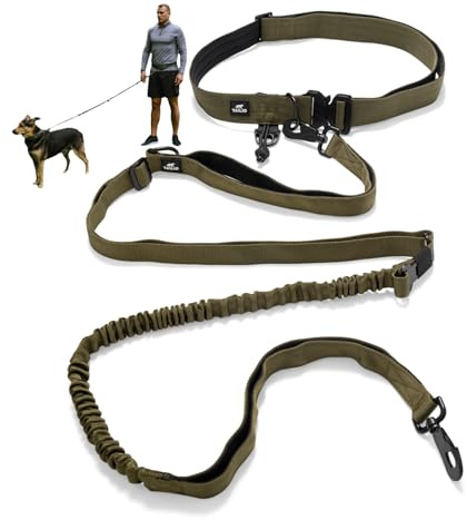 Tailio Hands Free Dog Lead – Premium Adjustable Waist Belt & Leash with Shock Absorbing Bungee, Dual Padded Handles, Car Seatbelt Clip - Ideal for Walking, Jogging, Training, Hiking (Green)