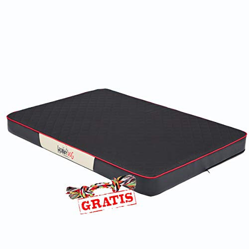HobbyDog Premium MPRCKC8 + Spieltau gratis Hundebett Codura Öko-Leder Hundematte Hundematratze Schlafplatz (3 Verschiedene Größen) (M (80 x 54 cm))