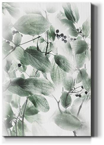 Renditions Gallery Black Berry Branches II Wall Art, Green Nature Decor, Peaceful Garden Artwork, Premium Gallery Wrapped Canvas, Ready to Hang, 12 in H x 18 in W, Made in America