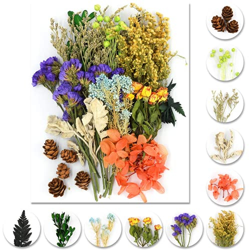 iDattel Natürliche Getrocknete Blumen,Blumen Natürliche Gemischte,DIY Natürliche Getrocknet Blumen Set für Kunst Basteln DIY Harz Scrapbooking Handwerk Karten Machen（grün+violett）