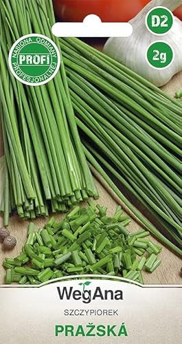 WegAna Erba cipollina Prazska Semi 2g (Circa 800 semi) Semi di ortaggi robusti, Semi di ortaggi, Semi da serra