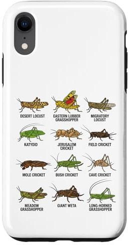Tipi di cavallette e grilli Entomologia Educativa Custodia per iPhone XR