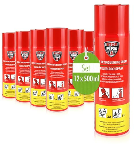 Höfer Chemie 12 x 500g Feuerlöschspray für Brände der Klasse A & F