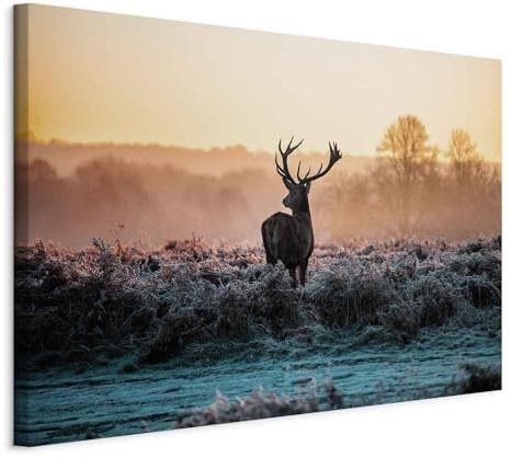 murando - Leinwandbild Natur Tier Landschaft, 120x80 cm, 1-teilig, modern | Hochwertige Leinwand, sofort aufhängbar, ideal fürs Wohn- oder Schlafzimmer, wasserfest und lichtecht, langlebig, stilvoll