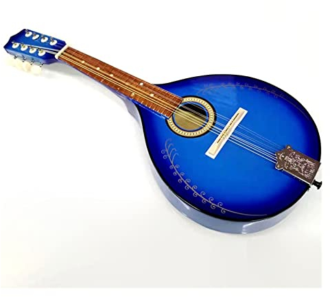Musikinstrument Mandoline Für Aufführen Von Musik Studentisches Mandoline-Instrument