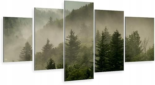 HUBDECO 5-Teiliges Leinwand Bild Wohnzimmer - Bilder, Poster, Kunstdrucke - Leinwandbild - Bild auf Leinwand - Tolle Zimmerdekoration - Schlafzimmer Bilder - 158x90 cm Berg Nebel Natur