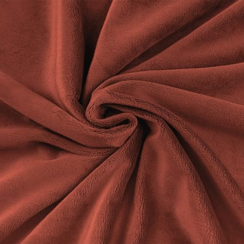 Textrend Stoff Minky - Plüschstoff - Meterware - 1 Meter 160 x 100 cm - Stoffe zum Nähen - Kinder - weich kuschelig - Glatt Rosa Marsala