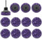 YDHfdc 12 Piezas Disco Abrasivo 50mm Disco CSD Discos Limpieza Disco de Lijado Grueso con 1 Soporte para Tratamiento de Superficies o Eliminación de Barniz (Púrpura)