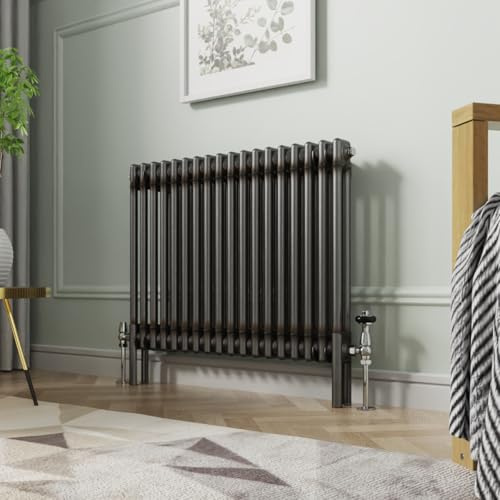 NRG Radiador tradicional horizontal de hierro fundido, doble columna, 600 x 830 mm, calefacción central, radiadores de diseño de baño