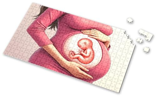 1000 Piece Puzzles A Pregnant Woman Cradles Her Baby Bump. Picture Puzzle Toys Under 10 Dollars Easter Toys for Kids Ages 4-(1000PCS)