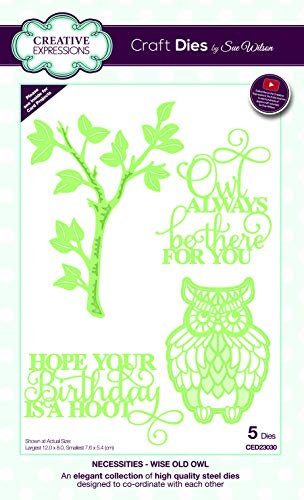 Sue Wilson Necessities Collection Die-Wise Old Owl, Metal, 12 x 8 cm