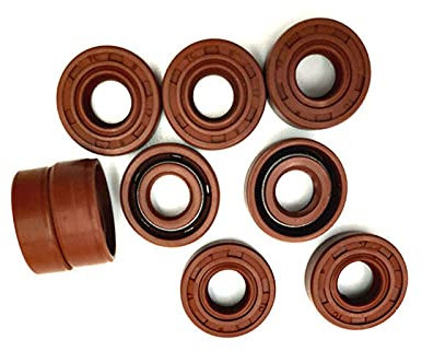 FKM Wellendichtring Tc Brown FPM Covered Doppel Lippe mit Garter Simmering, 20X35X7mm 2Pcs