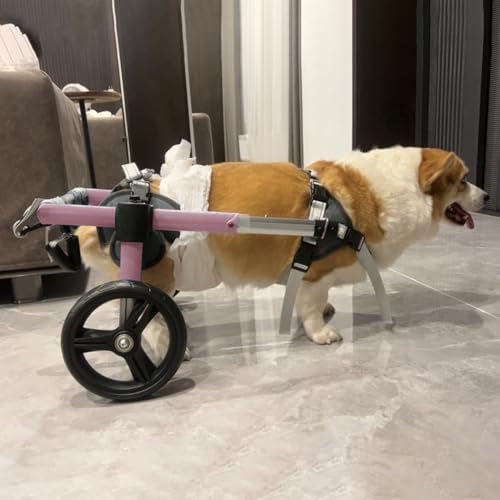 Hunderollstuhl, Hunderollstuhl für die Hinterbeine kleiner Hunde, Rollstühle für behinderte Beine von Haustieren und Katzen mit 2 Reifen, blau-rosa Hundefahrradanhänger für Corgi Chihuahua (