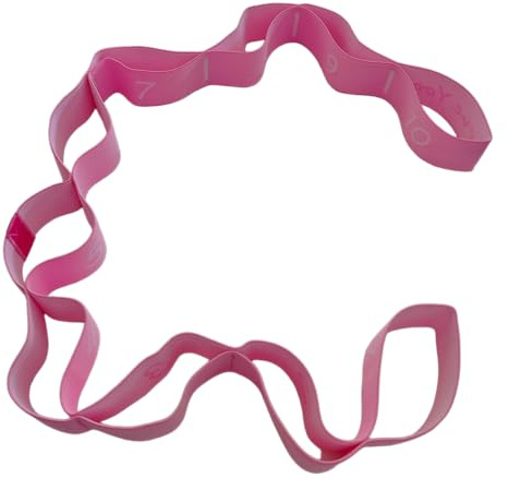 GIMIRO Fitness-Gummiband Segmentiertes Widerstandsband für Yoga Pilates Tanz Stretchband Rehabilitations Spannband (Pink 10 Loops)