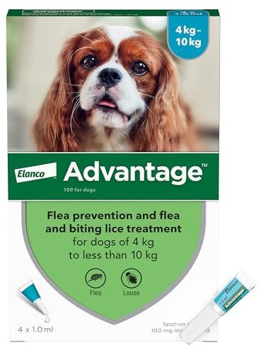 Advantage Spot On Flea Treatment For Medium Dogs 4 - 10 kg (4 pipettes, 100mg), Kills Fleas Within 24 Hours, Prevents Further Infestation For Up To Four Weeks