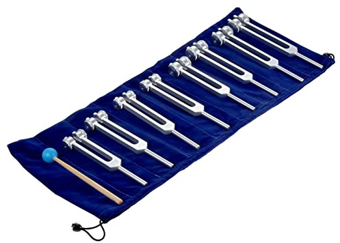 Dreld Solfeggio Stimmgabel Set 7 Chakra- und 1 Seelenzweck-Stimmgabel mit Silikonhammer Tasche Reinigungstuch für Heilung Klangtherapie Musikinstrument Ausgleich Vibration (Silber, 8 STK) | für Meditation, Geist Geist, Klangtherapie 126,22 Hz, 136,1 Hz, 141,27 Hz, 172,06 Hz, 194,18 Hz, 210,42 Hz, 221,23 Hz, 272 Hz