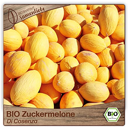 Samenliebe BIO Zuckermelonen Samen Di Cosenza süße Honigmelone Melone gelb 10 Samen samenfestes Gemüse Saatgut für Gewächshaus Freiland und Balkon BIO Gemüsesamen