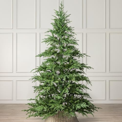 Christow Nordmann Fir Christmas Tree, 8ft