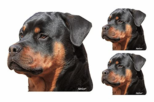 AdriLeo - Aufkleber 3er-Set - Rottweiler – Deko Autoaufkleber Sticker Hund