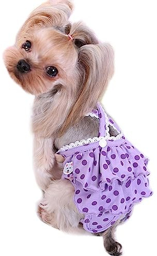 Oyccen Kleiner Hund Hosenträger Sanitär Hosen Physiologische Windel Weibliche Hunde Menstruations Unterwäsche Hygiene Höschen