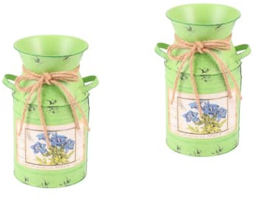 Alipis 2pcs Handmade Iron Flower Bucket Planter for Home Office Vintage Decor Vase