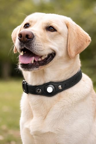 HUNDERLAND® Premium Leder Hundehalsband mit Apple Airtag Halter (Airtag Nicht im Lieferumfang enthalten), Leichtes und bequemes (Schwarz, M Verstellmöglichkeiten: 36~50 cm | Breite: 3,5 cm