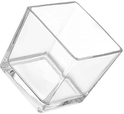 Abaodam Vase Carré en Verre Transparent 11,5 Cm Grand Format en Verre Clair Moderne pour Plantes Succulentes Bureau Maison Décoration Intérieure